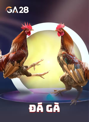 Trò Chơi Thực Tế